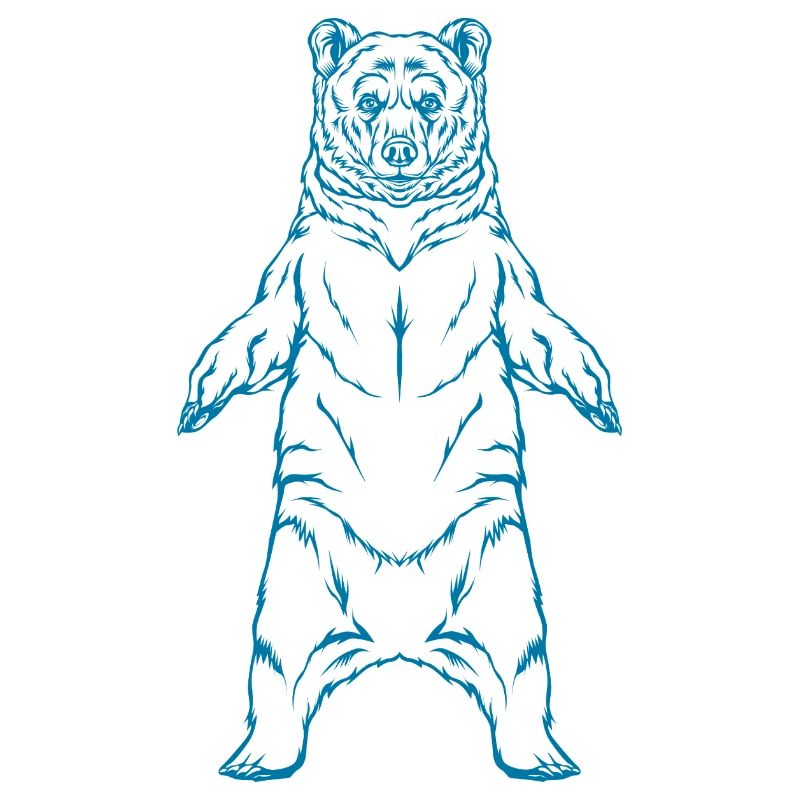 ours brun