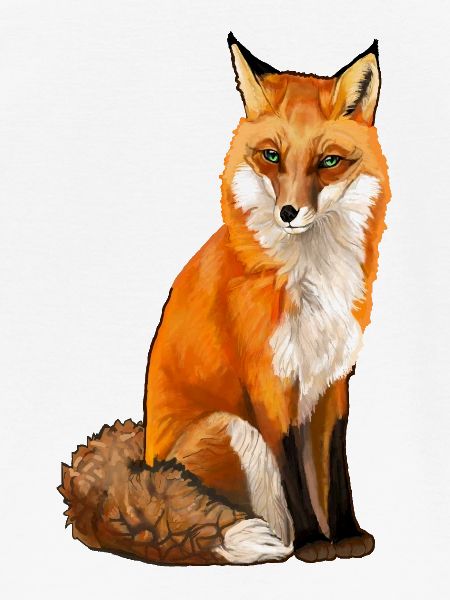 Fuchs