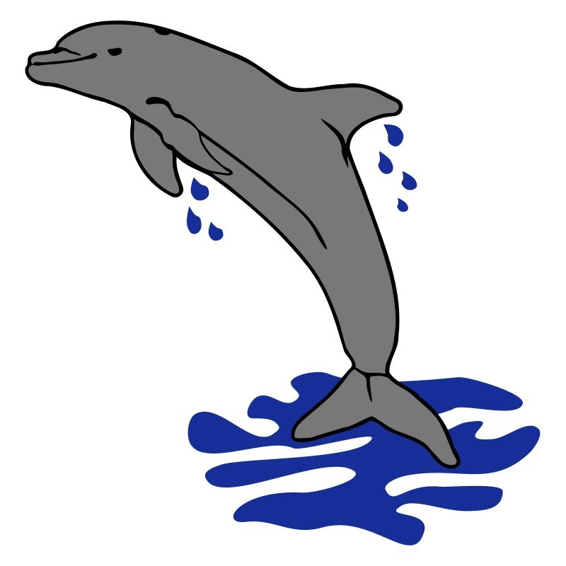 springender Delphin Delfin jumping dolphin