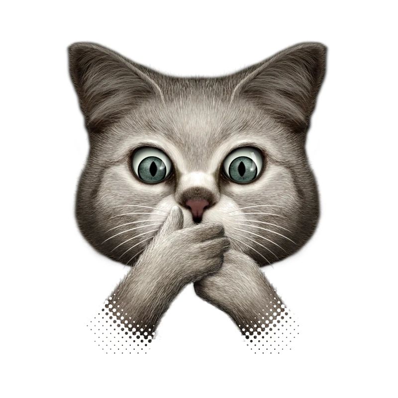 SHOCKING CAT