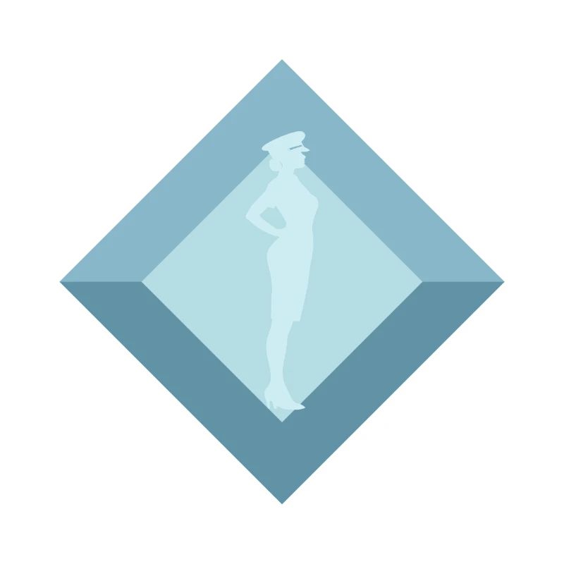 Flight Attendant Flight Attendant