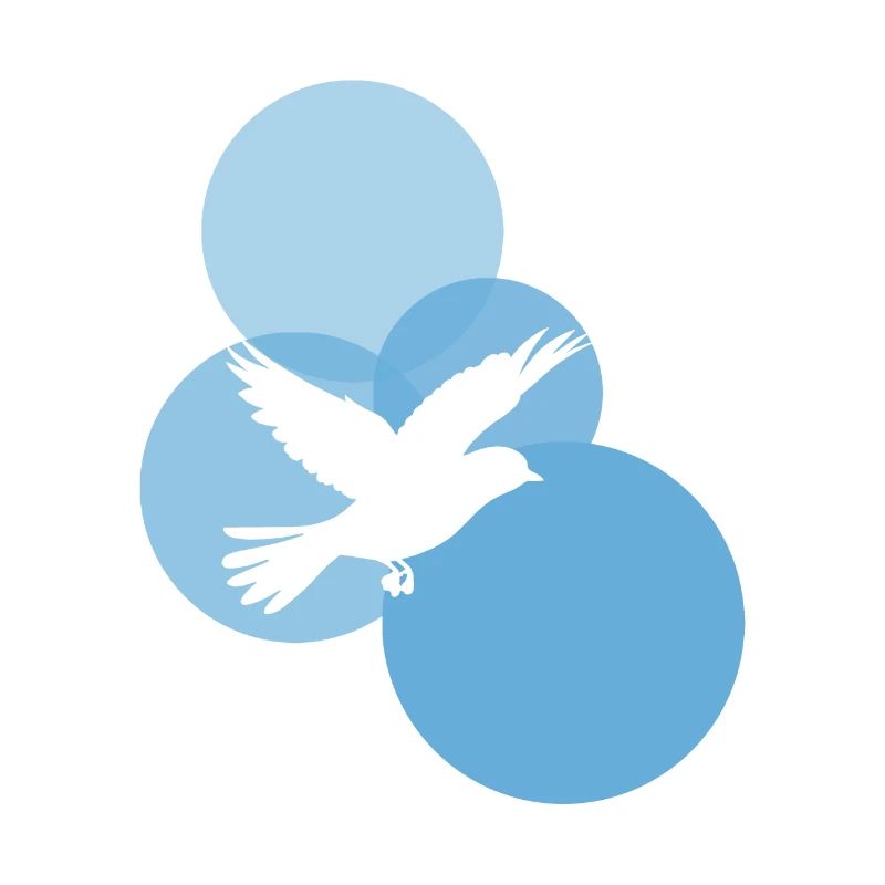 Flying, Flying, Bird