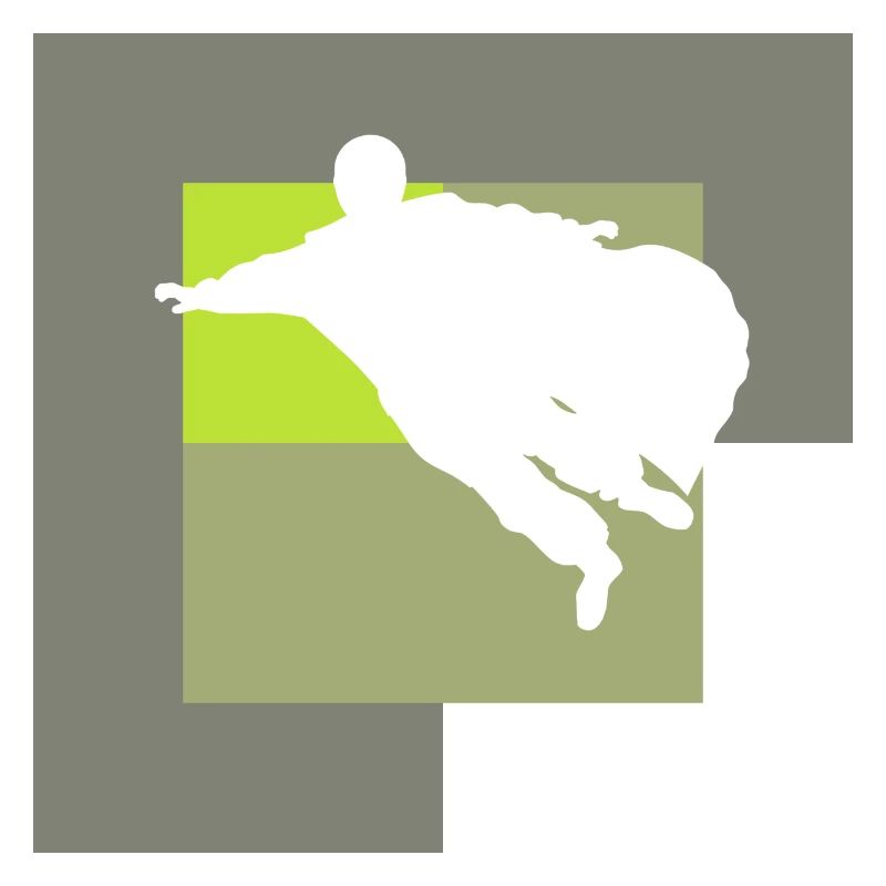 Wingsuit Glider Suit