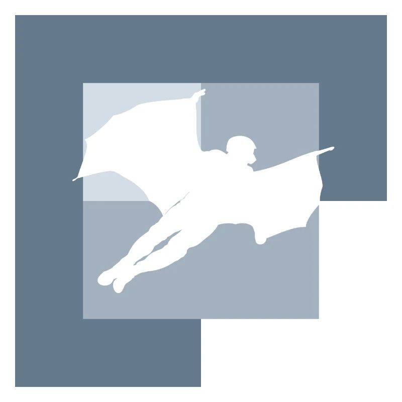 Wingsuit Base Jumping Suit