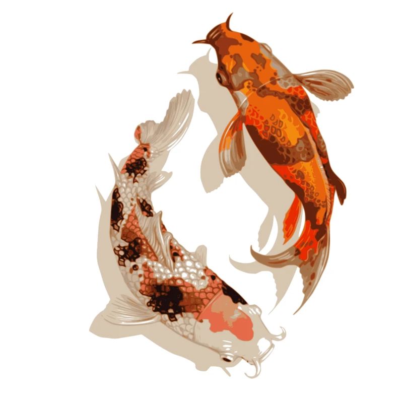 Koi fish