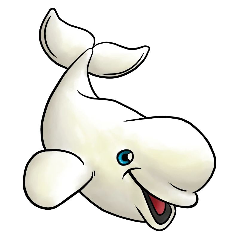 Small Beluga