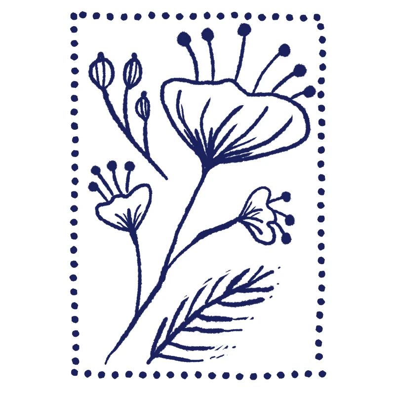 Graines de pavot bleu