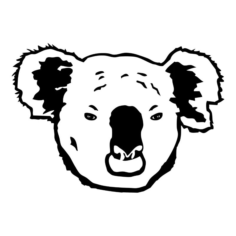 Koala - Koala bear