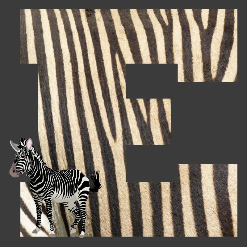 zebra e