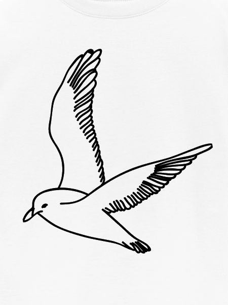 Möwe