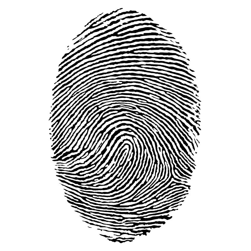 fingerprint
