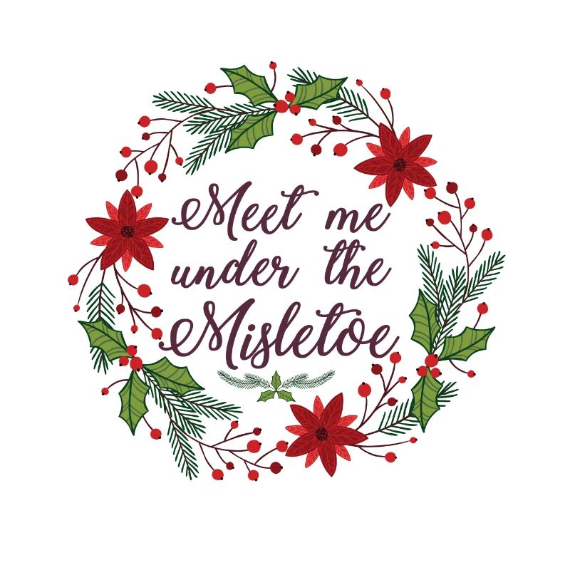 Idée cadeau gui cadeau de Noël