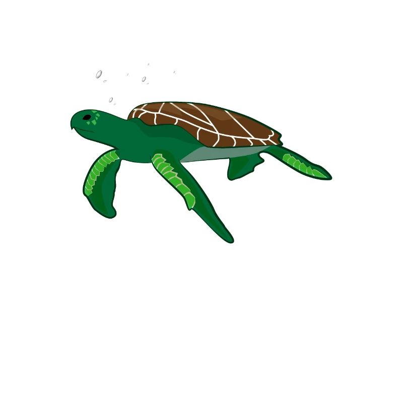 Schildkröte