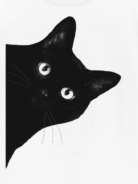 Katze