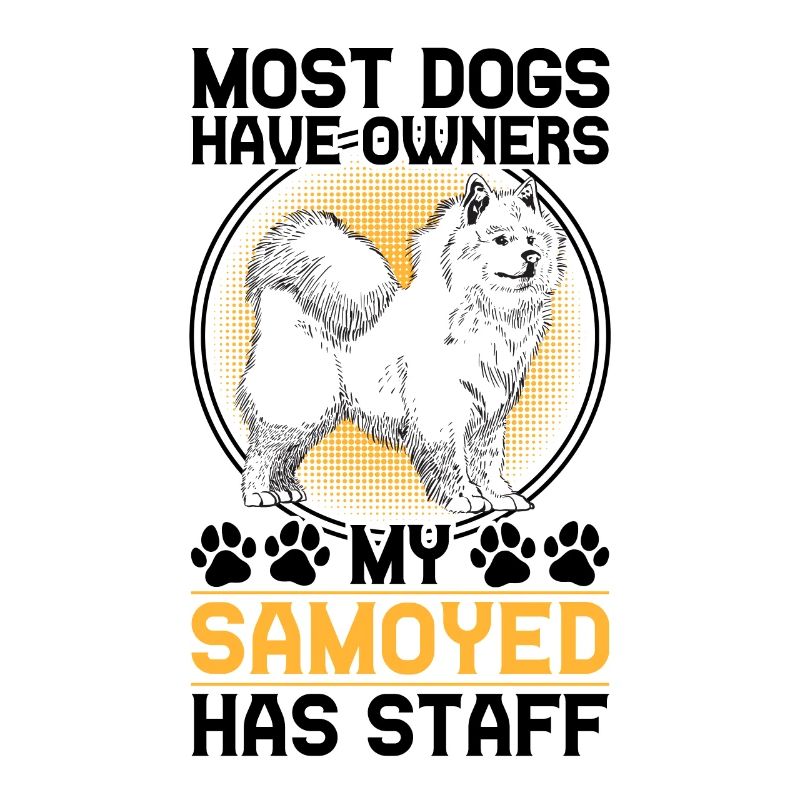 Samoyed has staff Samoyed Spitz
