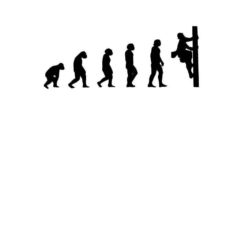 Netzelektriker Evolution Geschenk Elektriker