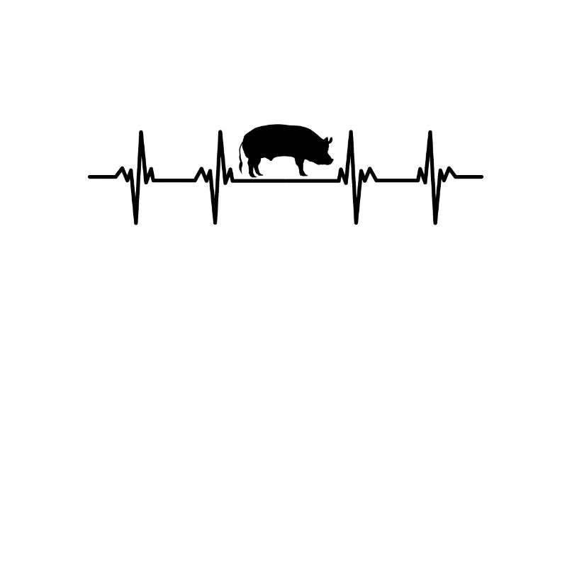 schweine sau eber saustall schweinestall schwein