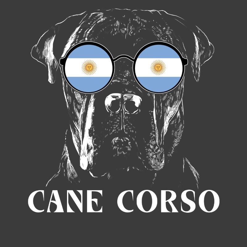 Cane Corso Argentine Drapeau argentin