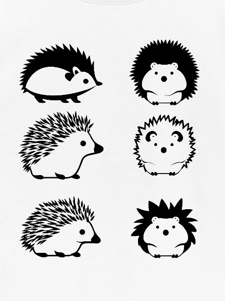 Igel