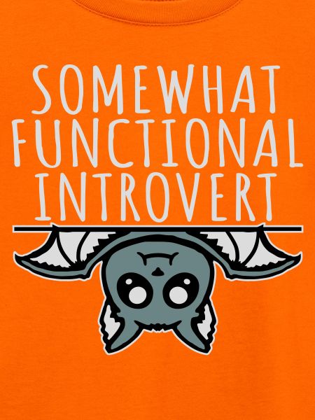 Somewhat Functional Introvert Süße Fledermaus