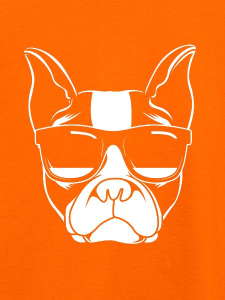 Boston Terrier