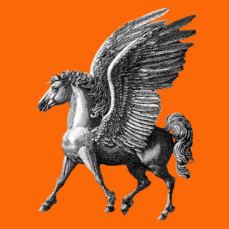 Pegaso alato – Incisione mitologica