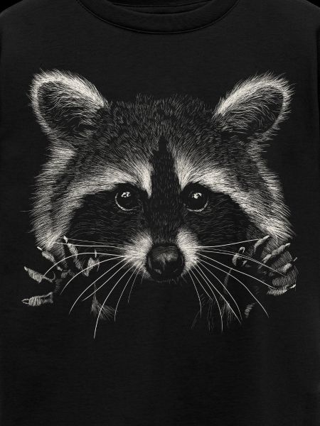 Waschbär