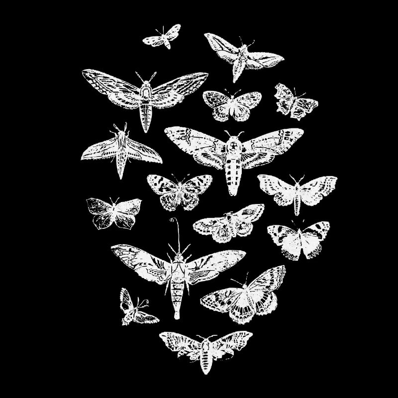 schmetterling, schmetterlinge