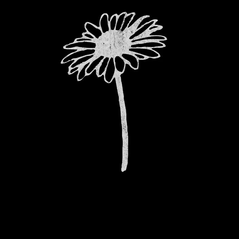 Blume, blumen, blüten, margeriten blume