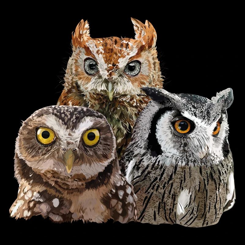 Rapaces nocturnes