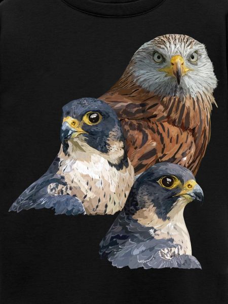 Greifvogel
