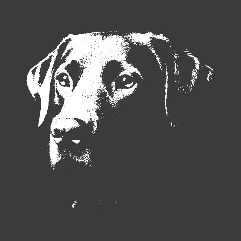 Stilvolles Labrador-Design