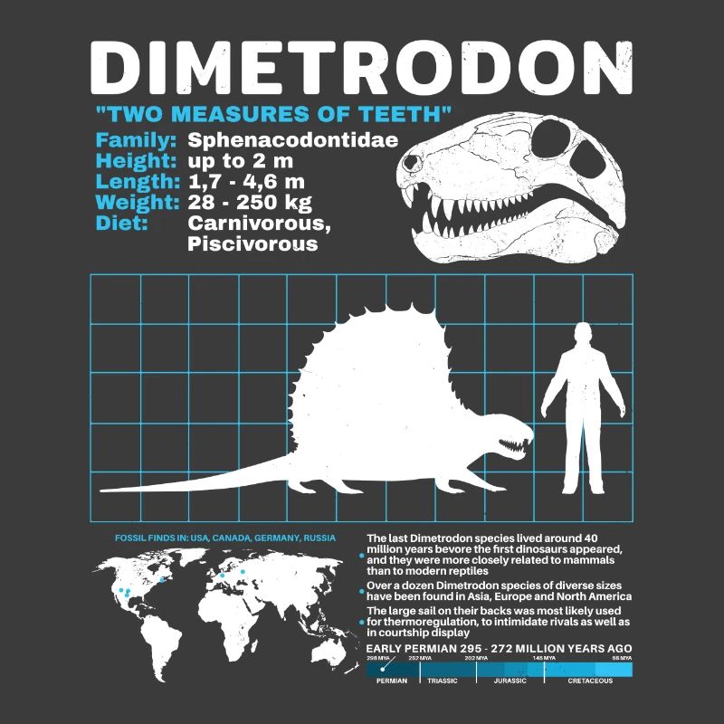 Fiche technique Dimetrodon