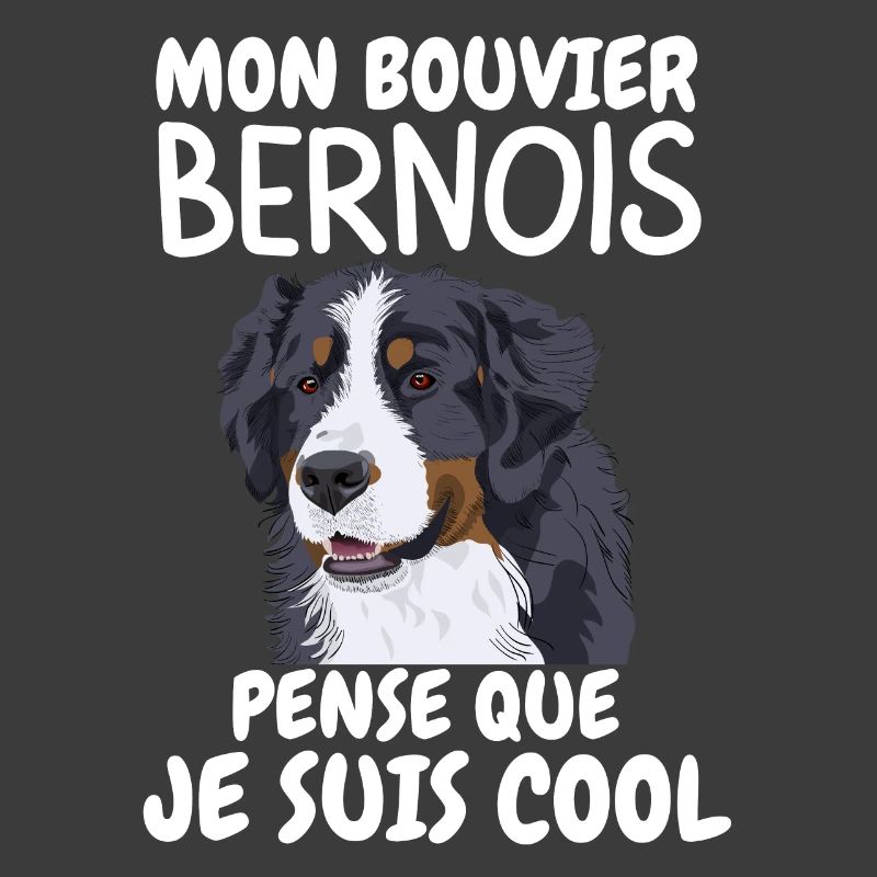 bouvier bernois 2