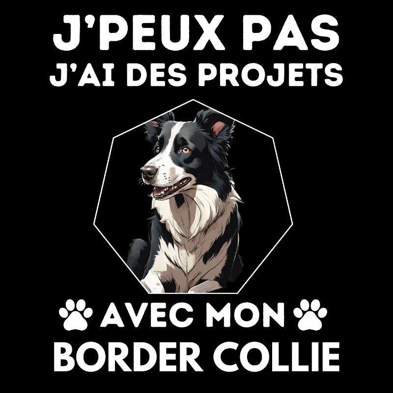 chien doux border collie 3