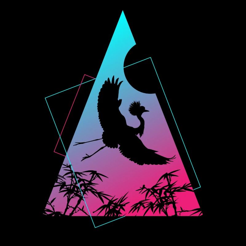 Crane Origami Geometry Creativity