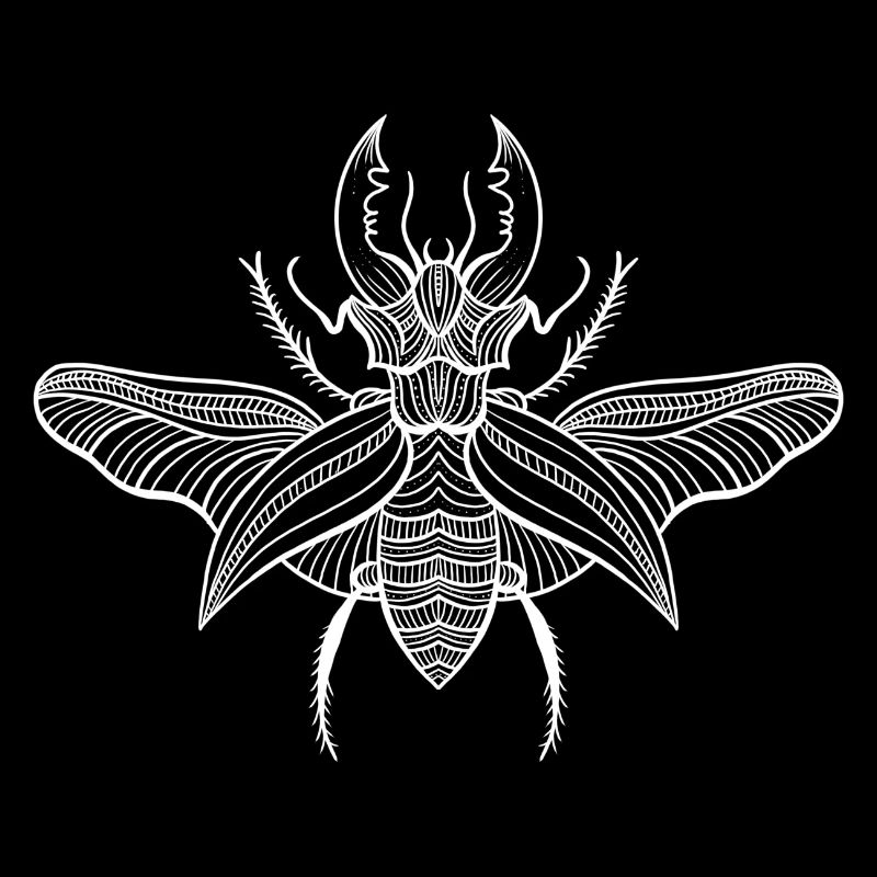 Beetle 2