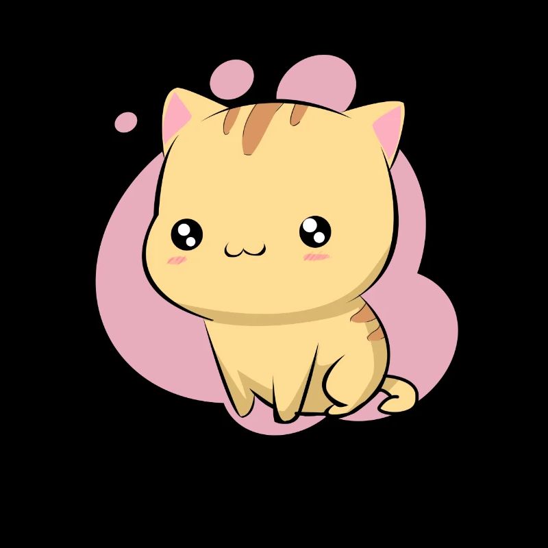 Cute cute cat