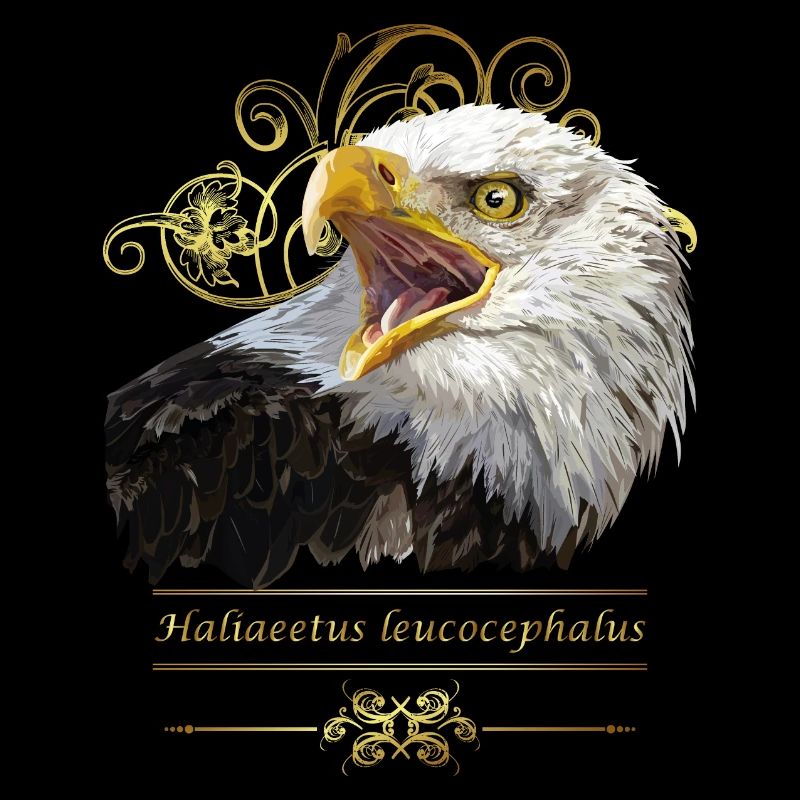Weißkopfseeadler
