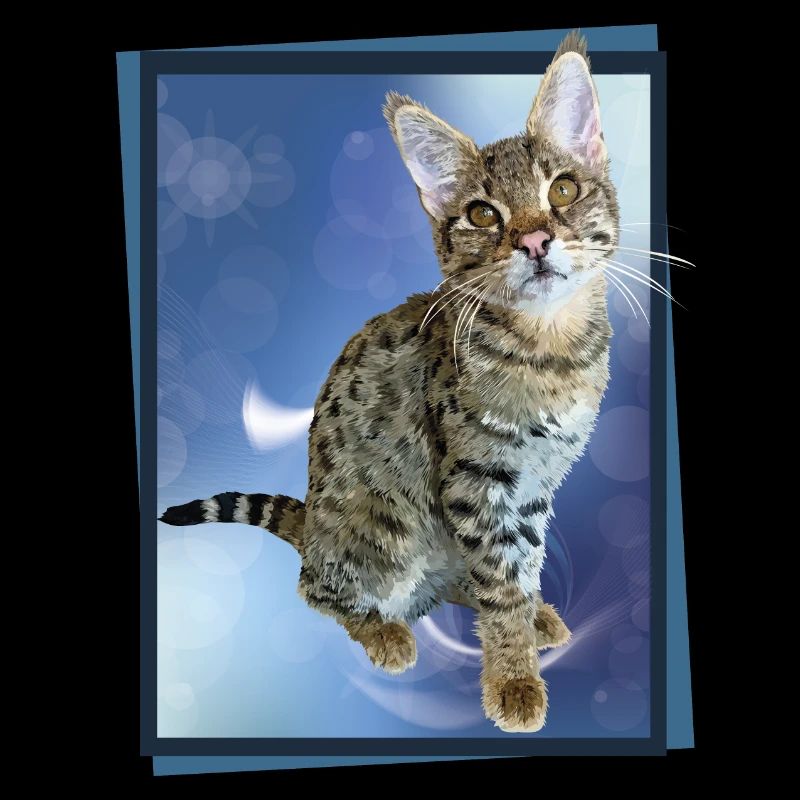 Tabby