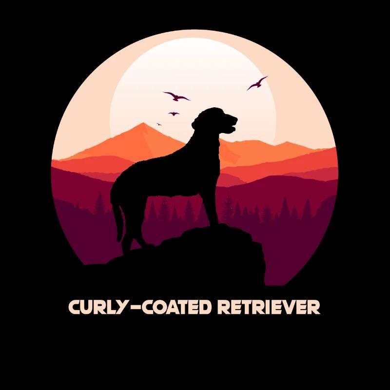 Curly Coated Retriever