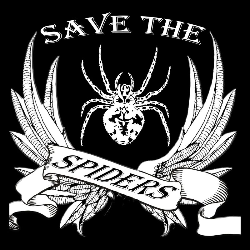 Spinne