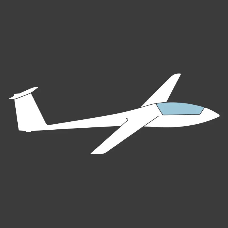 Pilote de planeur de planeur LS3A
