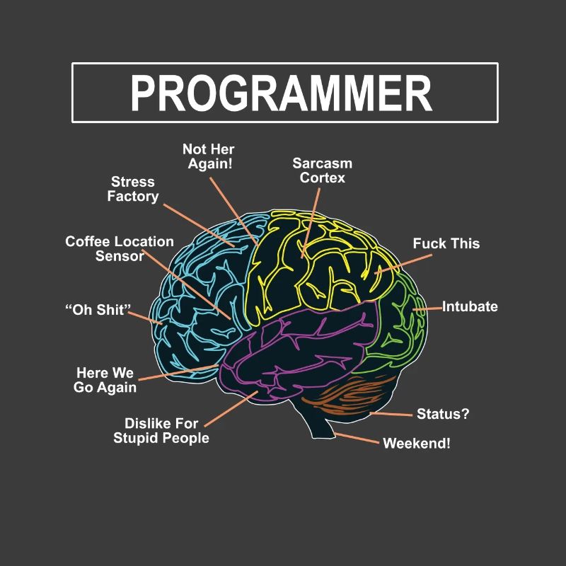 Programmierer