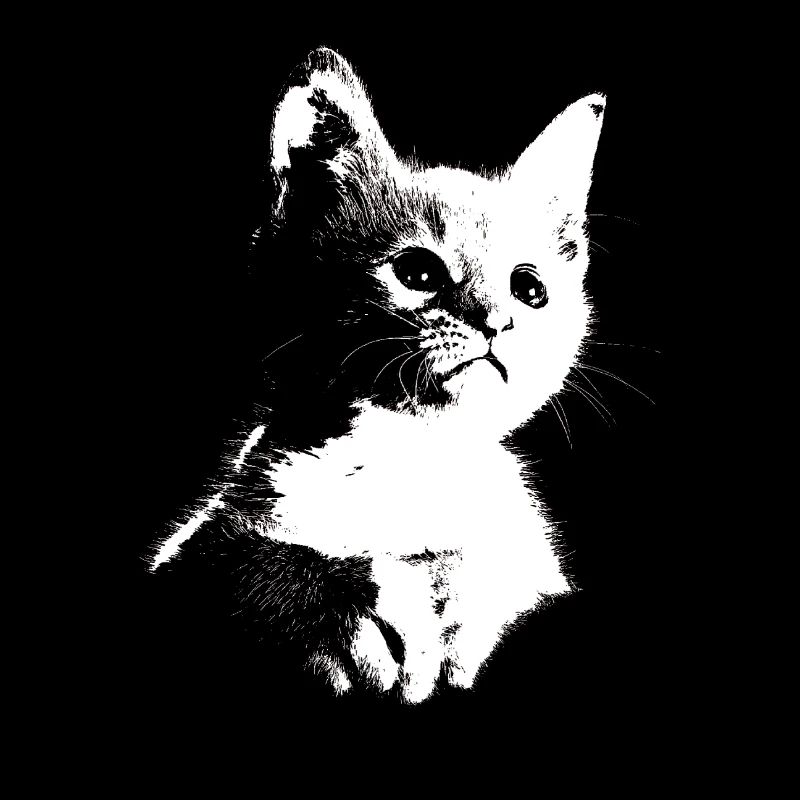 Kitten, cat, meow, meow, silhouette