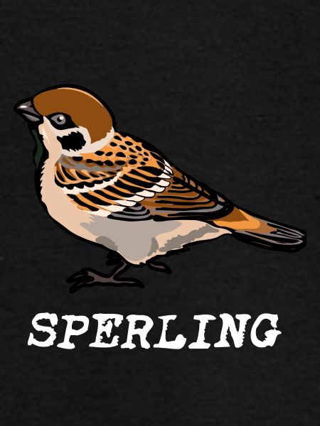 Sperling mit Name hell