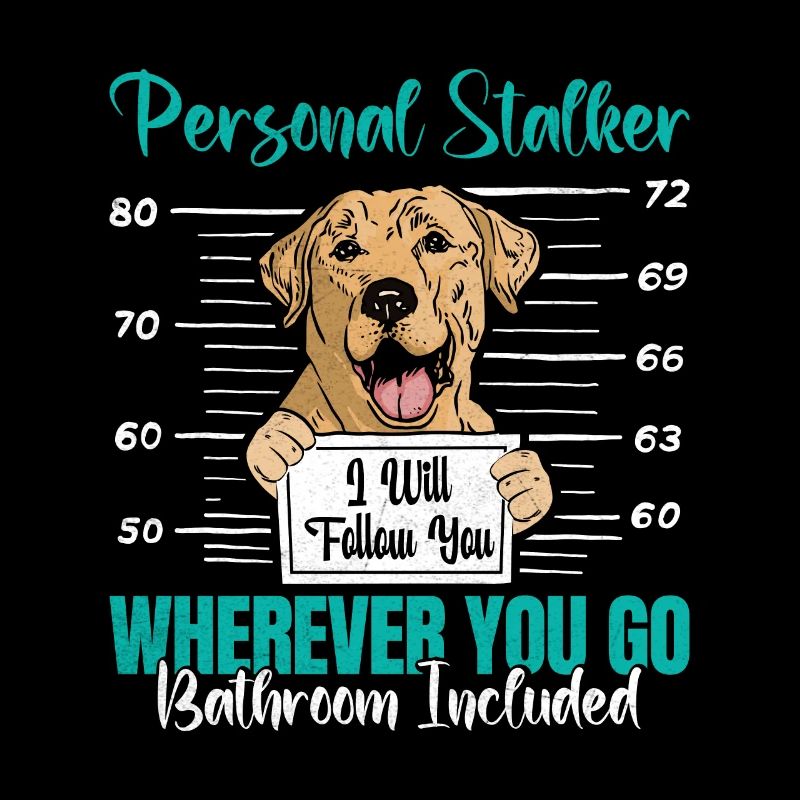 Labrador Fan PERSONAL STALKER Funny
