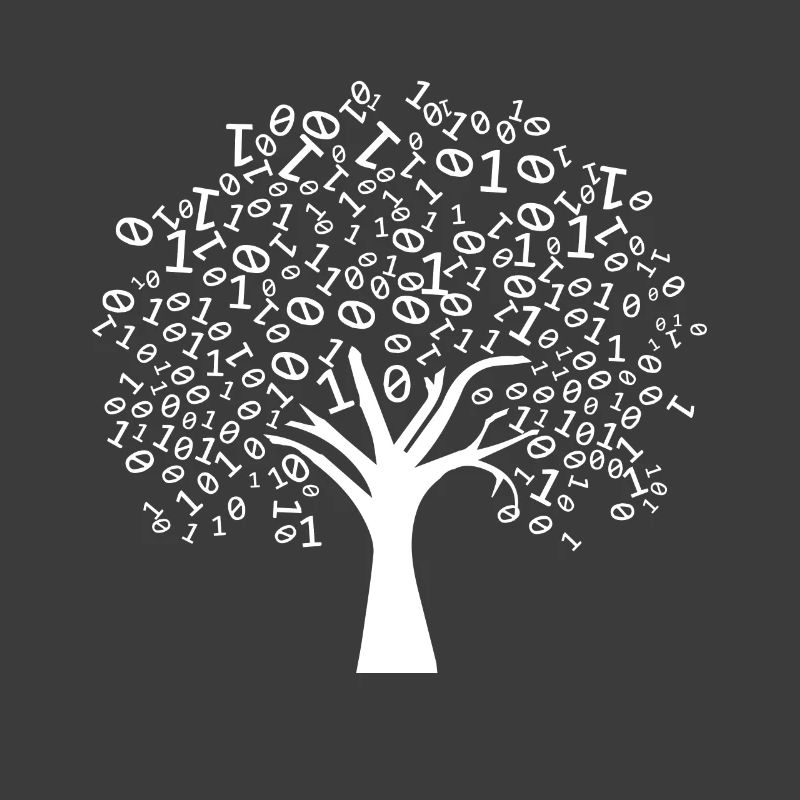 Programmierer Binärer Baum