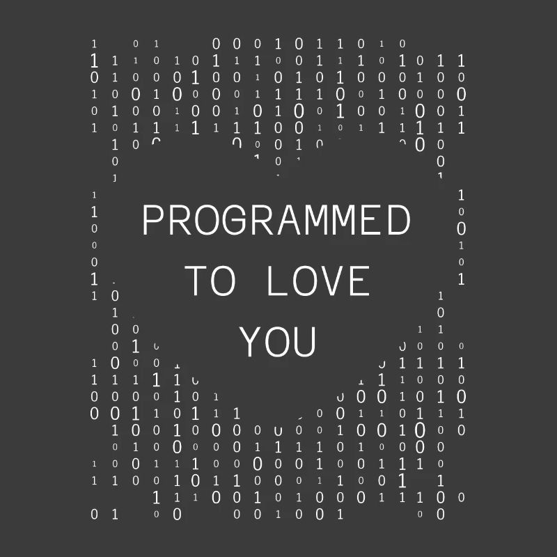 Programmeur Codeur développeur