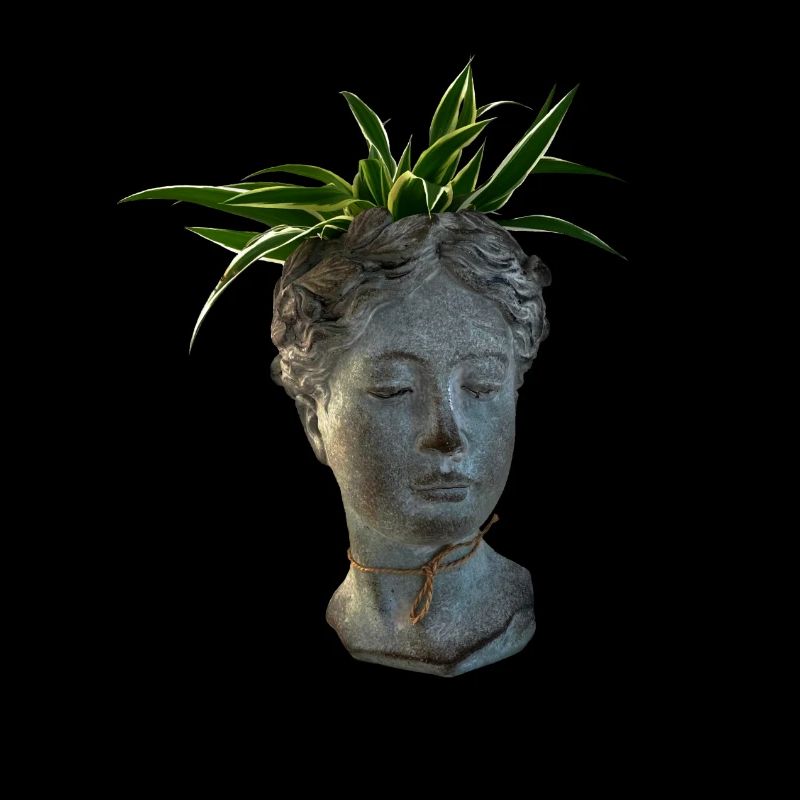 Tête